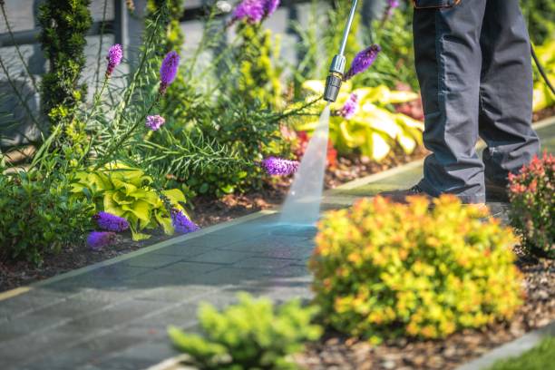 Best Dumpster Area Cleaning  in Dryden, MI